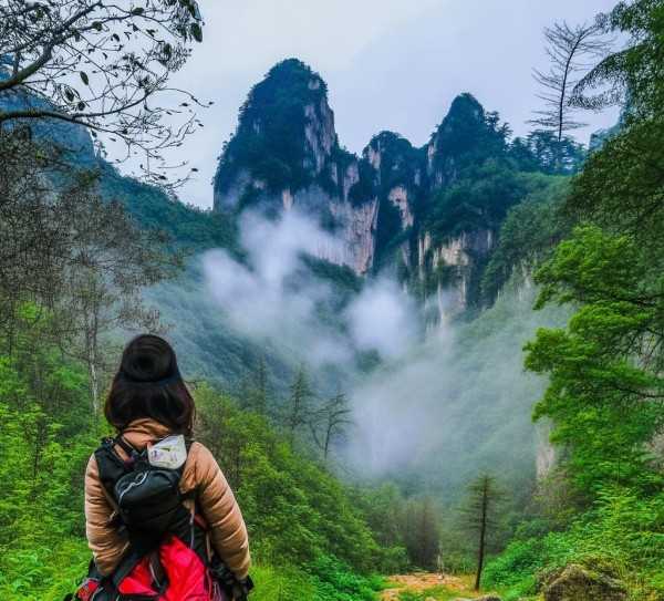 井冈山红色之旅与自然风光体验指南