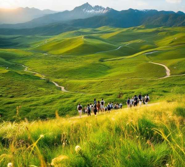 草原之旅，深度解析自然奇观探索路线,探寻自然之美，草原旅游路线深度解析,自然风光,旅游路线,大草原,第1张