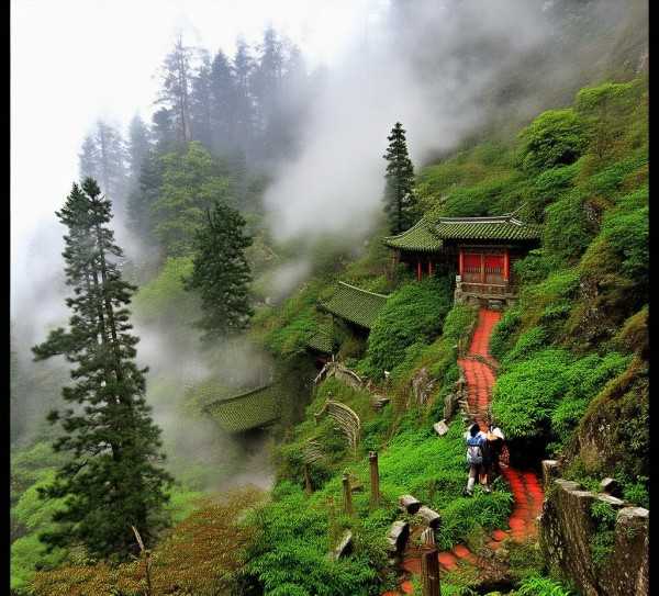 井冈山红色之旅，自然风光与革命历史交融之旅,探寻红色足迹，领略井冈山自然与人文魅力——井冈山旅游景点全攻略,自然风光,第1张