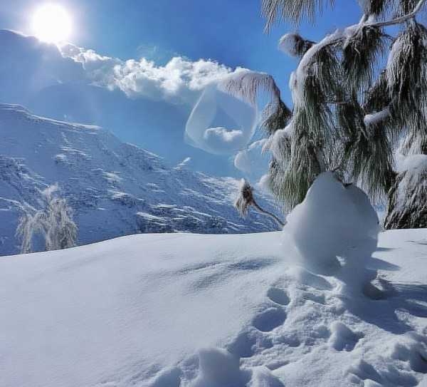 黄山，山水画卷中的自然奇观,黄山，中国山水画的巅峰之作，探寻大自然的神奇魅力,历史文化,旅游胜地,仙境,第1张