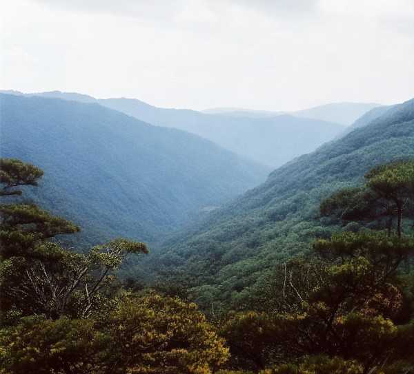 黄花沟，大自然的调色板，探寻多彩风光秘境,黄花沟旅游景区，大自然的调色板，带你领略多彩风光,自然风光,风情,生态旅游,第1张